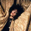 Photograph By Laura Levine